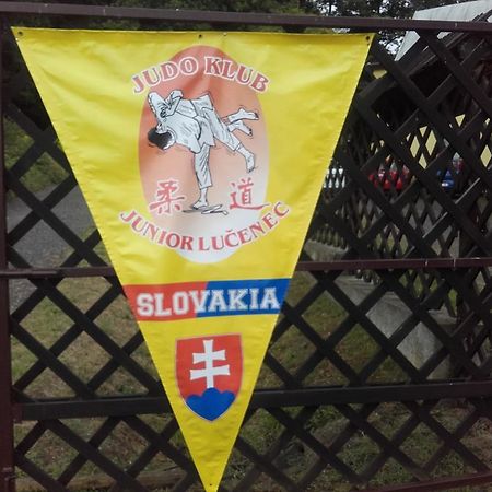 Turisticka Ubytovna Hotel Divín 외부 사진